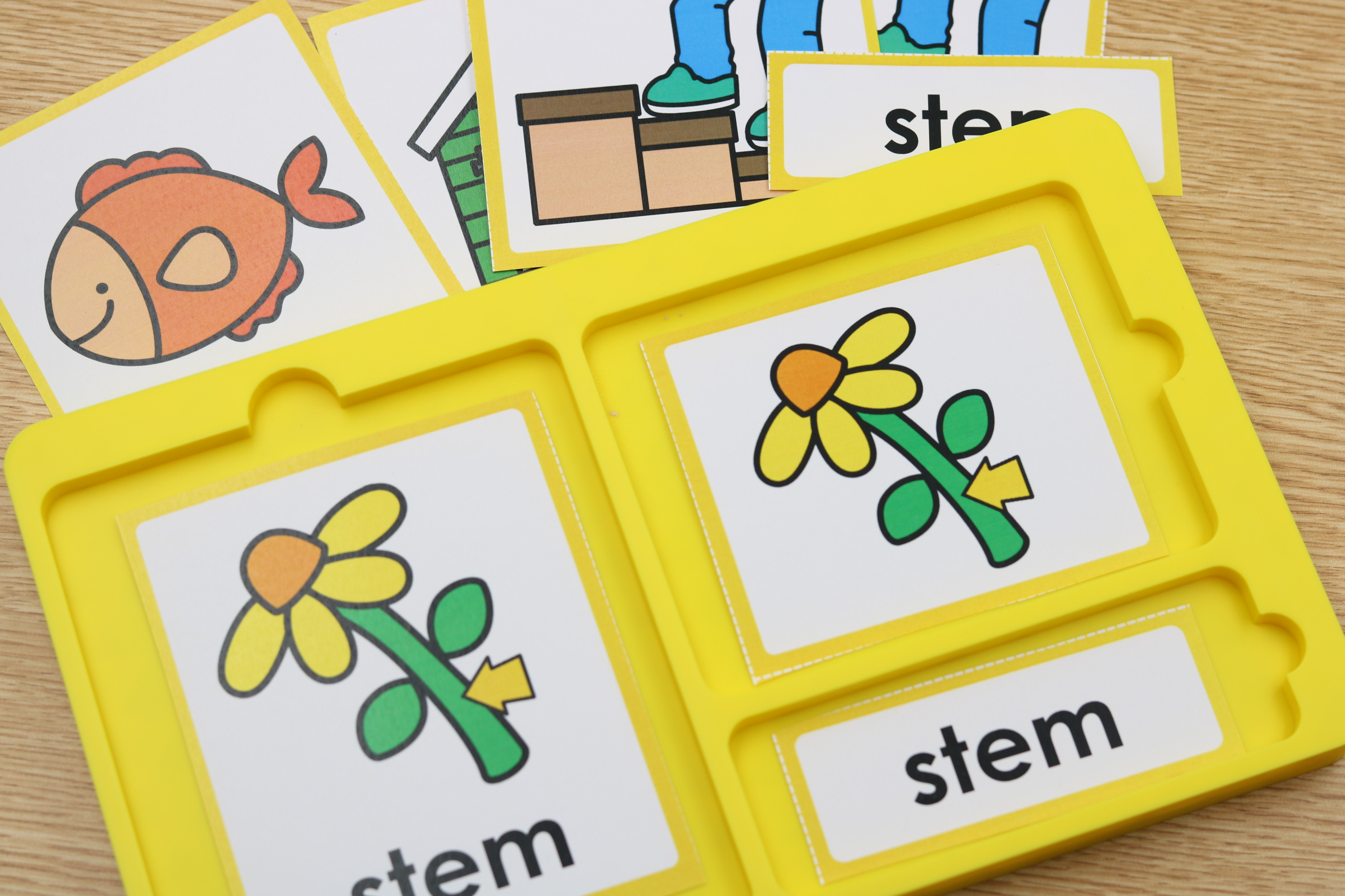 CCVC word self-correcting phonics center with picture and word matching cards