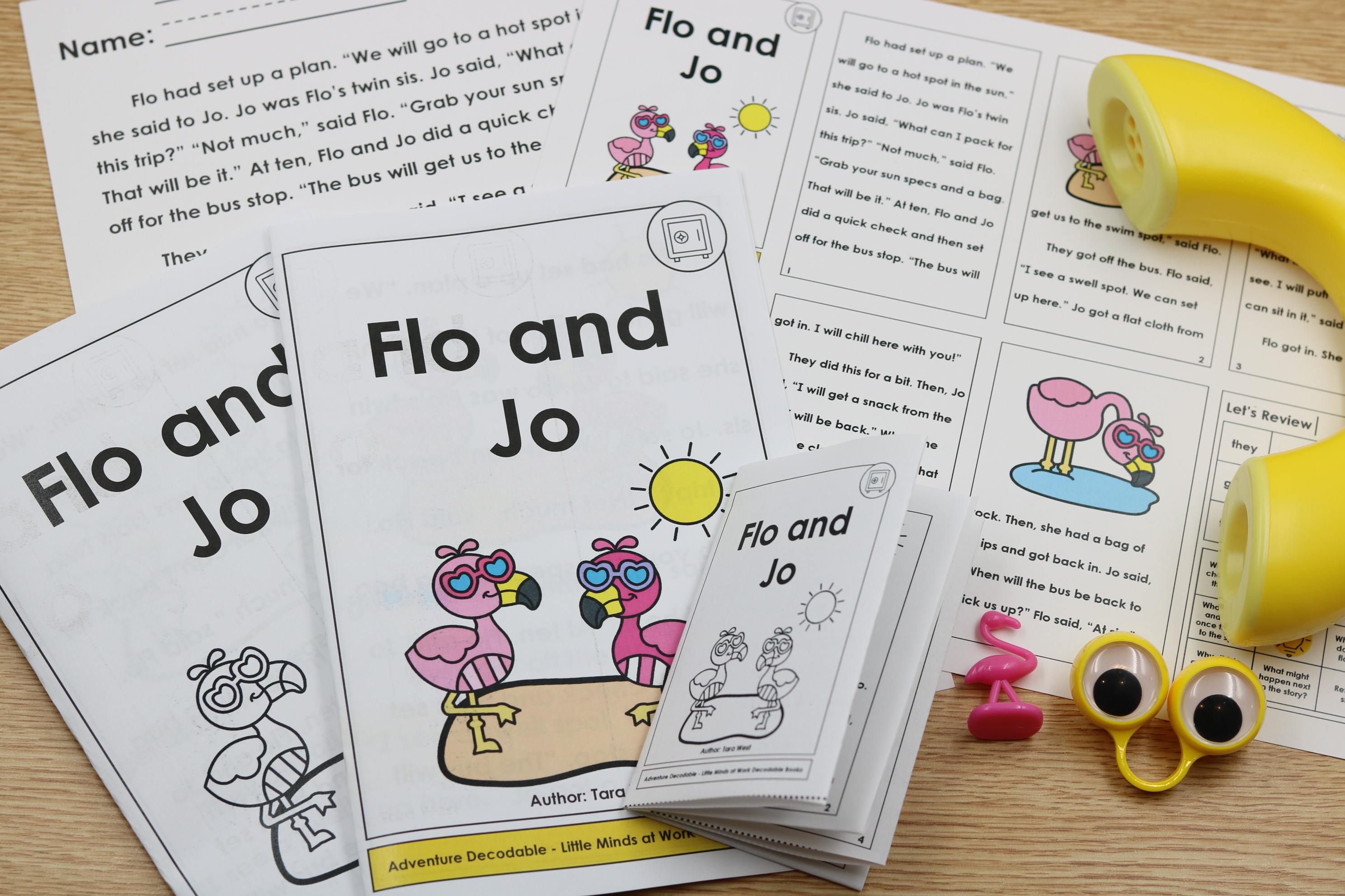 June flamingo summer decodable chapter book free download